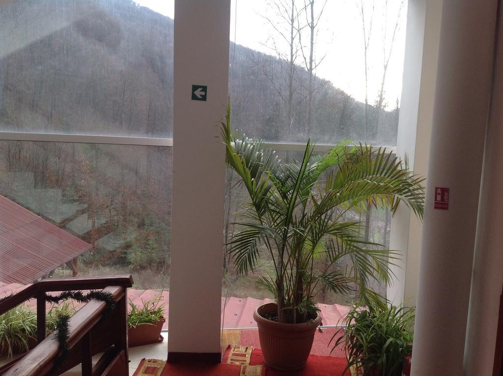 Hotel Panoramic Moneasa Rum bild